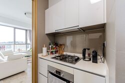 Skyline Residences (D4), Condominium #581128441